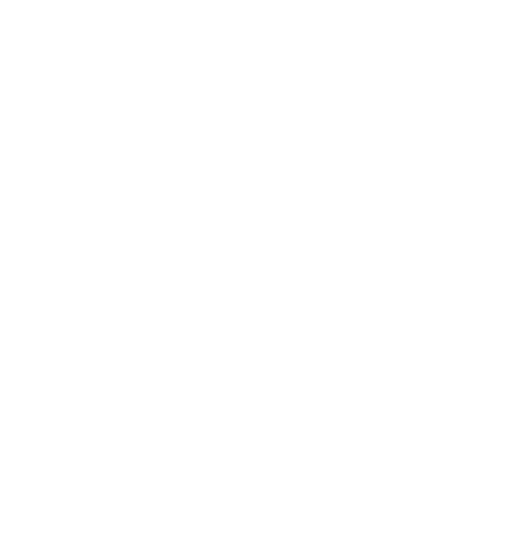 Dr Marin Magdy